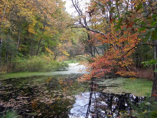 Great Brook Farm State Park - 39 Photos - Parks - Carlisle, MA