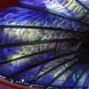 The gorgeous blue ceiling of th...