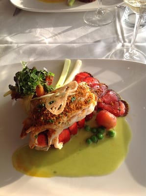 Maine lobster tail - 5 stars