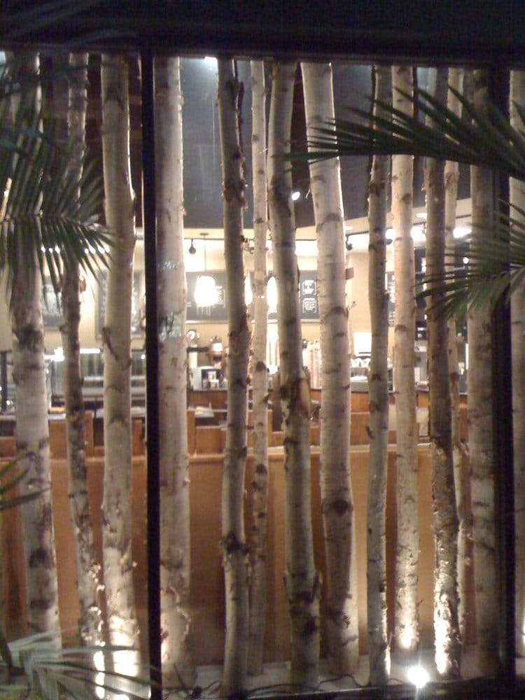 birch tree decor yelp birch tree decor yelp