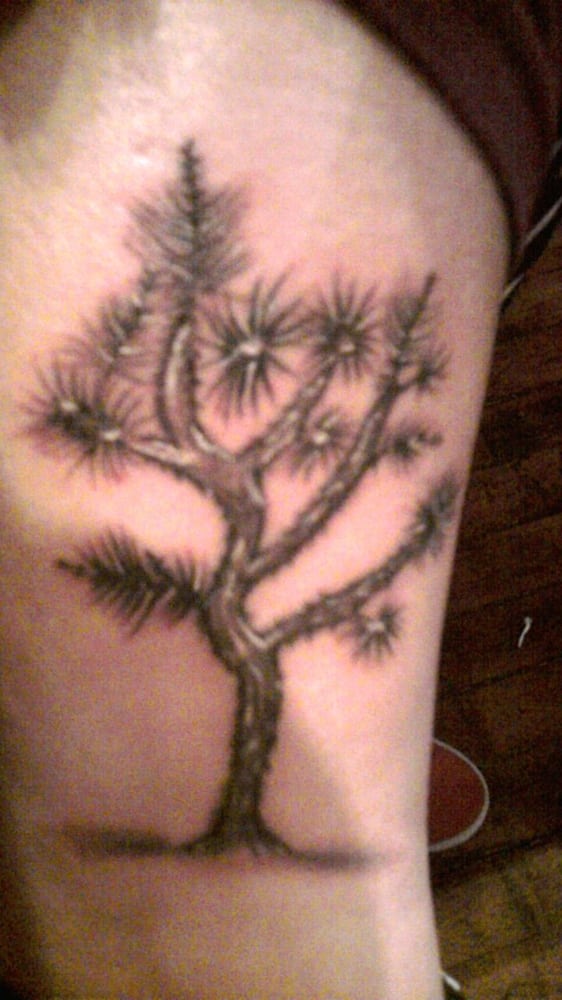 joshua tree done by mike on march 27th yelp joshua tree done by mike on march 27th yelp