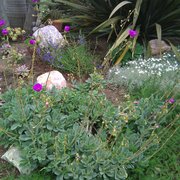 Fernando's Complete Landscaping & Hardscape, Los Angeles, CA, USA