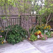 Rooftop garden deck by NYC Landscape designers, includes landscape 