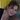 Photo of Jaimee A.