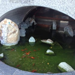David Chen S Chinese Restaurant David Chen S Chinese Restaurant